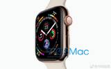 42mm新一代Apple Watch分辨率为384×480