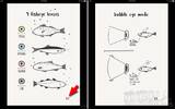 [限时免费] FISHI 让你透过 4 种鱼的眼睛，记录不一样的世界！（iPhone, iPad）