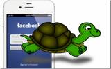 脸书跟乌龟比快与破图新解　小程式帮你测试最佳连线IP