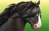 3D 画面骏马养成游戏 ! 原价 US$5.99《 HorseWorld 3D 》限免 !