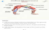 运动工具 瑜伽解析 3D Yoga Anatomy [iOS]