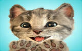 猫奴注意！超可爱虚拟养猫游戏《Little Kitten》首度限免！