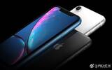 知名苹果分析师：iPhone XR将在中国掀起换机潮、风头超iP8