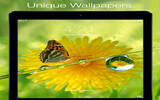 高清壁纸 – Beautiful HD Wallpapers – Top Amazing & Unique Images & Backgrounds For Free [iOS]