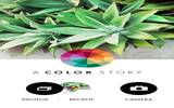 玩转曲线的迷人色调相机! 《A Color Story》赋予相片丰富的色彩故事!