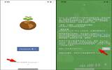 让多人一起专心的番茄钟！“Flora”拒绝拖延并种下一棵树（iPhone, iPad）