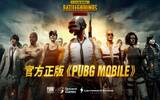 一起吃鸡！绝地求生 PUBG Mobile 繁体中文版正式登场！