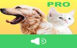 逼真音效动物园 ! 原价 US$1.99《 Animal Voices Box Pro 》首度限免 !