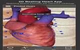 超详尽 3D 剖析　首度限免《Pocket Heart》带你深入认识心脏