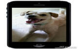 高级盗拍 Splashtop 远程摄像头监控 – Splashtop CamCam [iOS][美区]