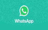 WhatsApp 测试支援一账号 4 装置