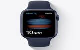 为什么 Apple Watch Series 6 的血氧追踪功能不用审批？