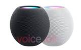 不是缩小版　传 HomePod mini 改用圆球形设计