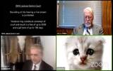 与法官 Zoom 会议　律师不懂将孩子的猫咪滤镜解除