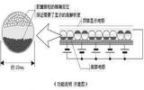 水墨屏对阅读有什么好处 水墨屏介绍