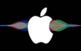 Siri 风波后　Apple 宣布暂停全球 Siri 评级作业