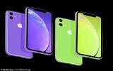 第二代 iPhone XR 新颜色曝光　紫色及绿色即将登场