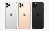 iPhone 11 焦点不是 A13　而是全新 Rose 辅助处理器